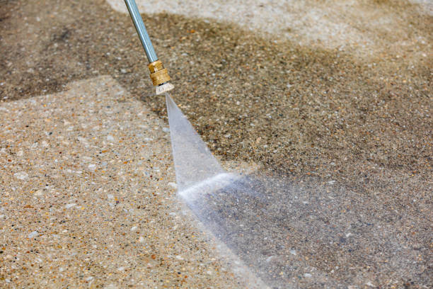 Best Vinyl Siding Pressure Washing in Rochester, NY